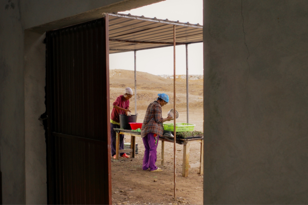 Manderly impulsa el trabajo femenino con el 40% del equipo conformado por mujeres jóvenes, formadas internamente en técnicas de agricultura inteligente, control de cultivos y gestión operativa.